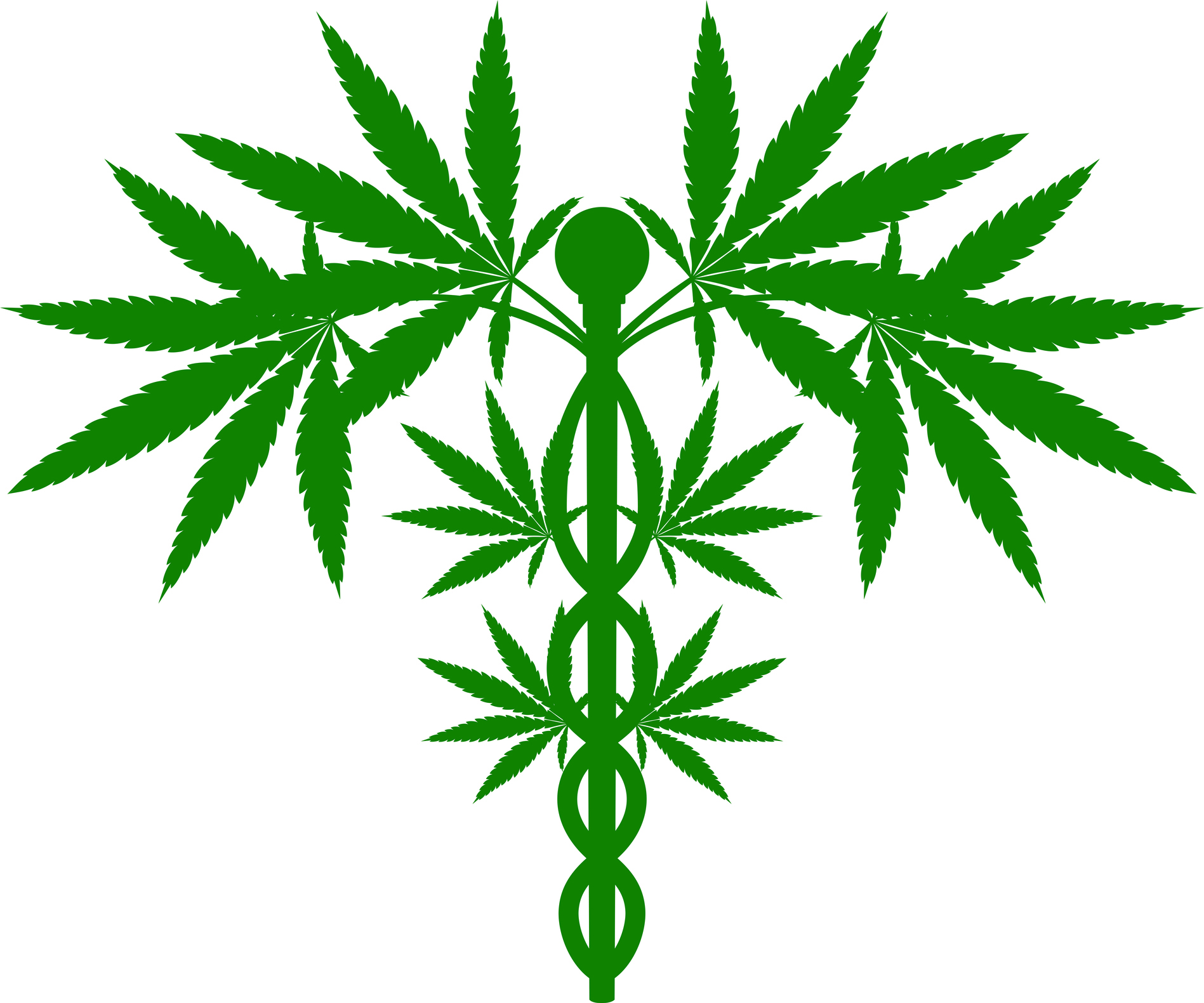 Frantz Ward Client Obtains Favorable Ruling in Medical Marijuana Litigation  Thumbnail