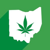 Getting Into the Weeds: How The Outcome of Ohio Issue 2 May Impact Employers Thumbnail