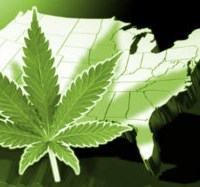 Significant Federal Cannabis Reform is Likely in 2019  Thumbnail