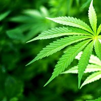 Ohio Edging Closer to Medical Marijuana Regulations Thumbnail