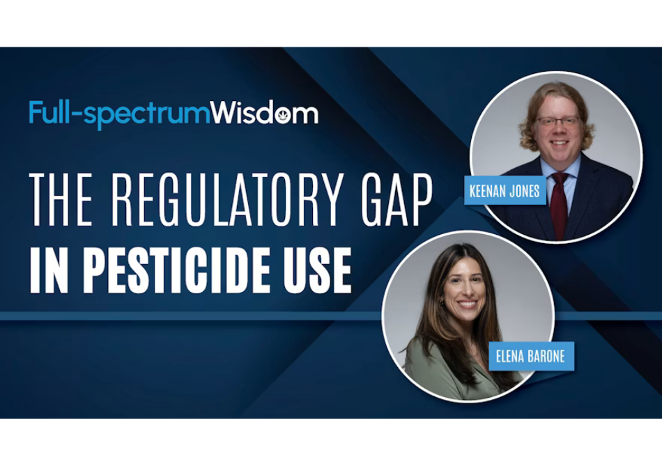 Keenan M. Jones and Elena C. Barone Analyze Pesticide Regulation for Cannabis Growers